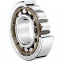 Identify Bearings-Cylindrical Roller Bearing